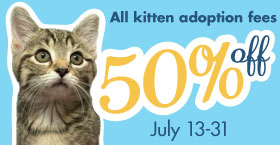 50% off kitten fees!